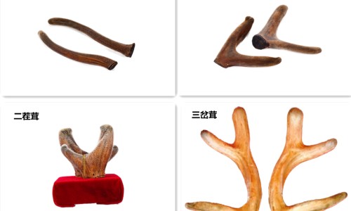 广州药店胃肠灵胶囊多少钱-广州药店胃肠灵胶囊-专业胃肠灵胶囊有副作用吗平台-肠胃灵胶囊多少钱一合